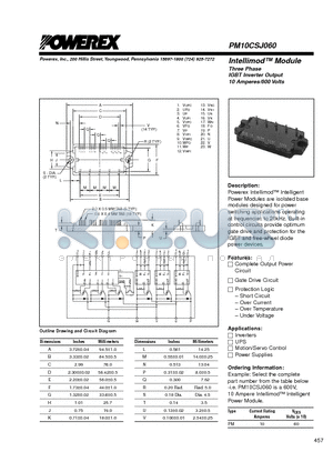 PM10CSJ060 datasheet - Intellimod Module Three Phase IGBT Inverter Output (10 Amperes/600 Volts)