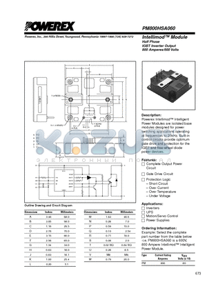 PM800HSA060 datasheet - Intellimod Module Half Phase IGBT Inverter Output (800 Amperes/600 Volts)