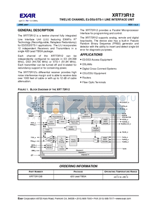 XRT73R12_07 datasheet - TWELVE CHANNEL E3/DS3/STS-1 LINE INTERFACE UNIT