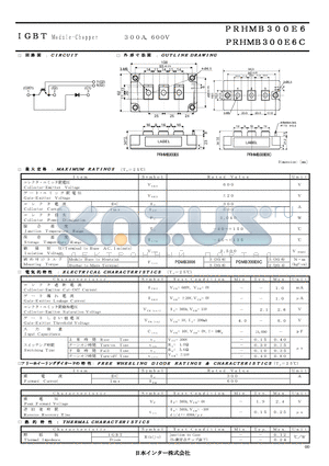 PRHMB300E6C datasheet - IGBT Module-Dual