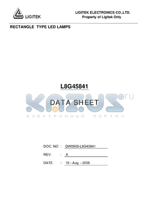 L8G45841 datasheet - RECTANGLE TYPE LED LAMPS