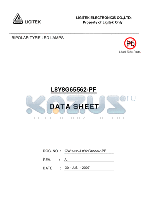 L8Y8G65562-PF datasheet - BIPOLAR TYPE LED LAMPS