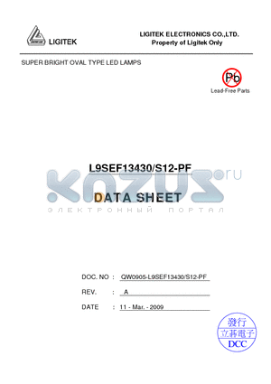 L9SEF13430 datasheet - SUPER BRIGHT OVAL TYPE LED LAMPS