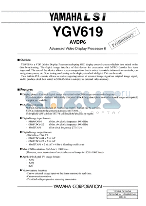 YGV619 datasheet - Advanced Video Display Processor 6