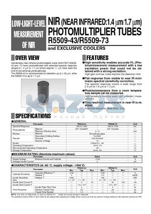 R5509-43 datasheet - NIR PHOTOMULTIPLIER TUBES