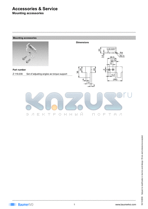 Z119.039 datasheet - Accessories & Service