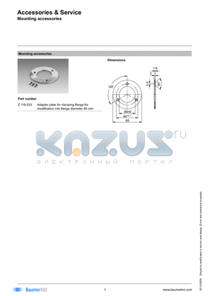 Z119033 datasheet - Accessories & Service