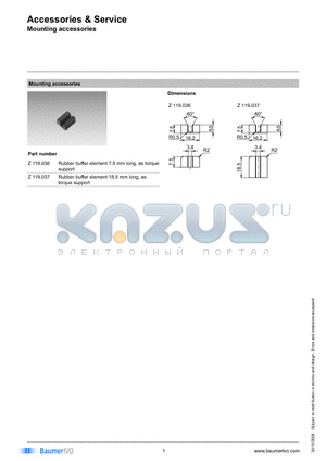 Z119037 datasheet - Accessories & Service