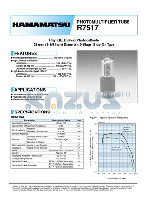 R7517 datasheet - PHOTOMULTIPLIER TUBE