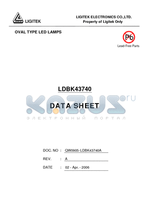 LDBK43740 datasheet - OVAL TYPE LED LAMPS