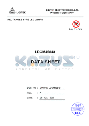 LDGM45843 datasheet - RECTANGLE TYPE LED LAMPS