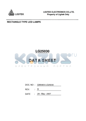 LG25030 datasheet - RECTANGLE TYPE LED LAMPS