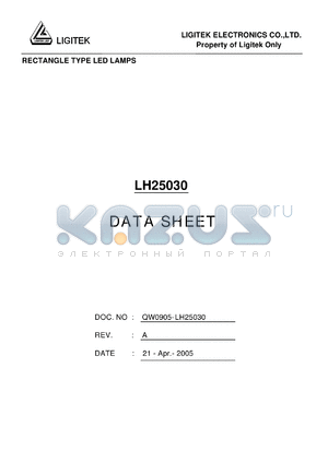 LH25030 datasheet - RECTANGLE TYPE LED LAMPS