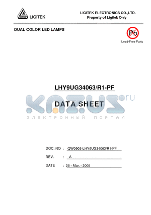 LHY9UG34063-R1-PF datasheet - DUAL COLOR LED LAMPS