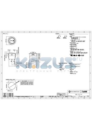 RR111C1121 datasheet - E-SWITCH RR111C1121