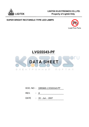 LVG55543-PF datasheet - SUPER BRIGHT RECTANGLE TYPE LED LAMPS