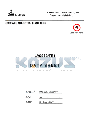 LY9S53/TR1 datasheet - SURFACE MOUNT TAPE AND REEL