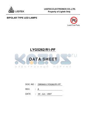 LYG5262/R1-PF datasheet - BIPOLAR TYPE LED LAMPS