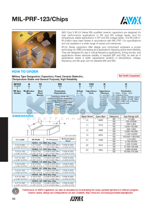 M123A10BP_1R0 datasheet - MIL-PRF-123/Chips