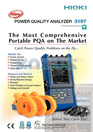 3197 datasheet - POWER QUALITY ANALYZER