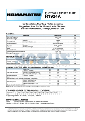 R1924A datasheet - PHOTOMULTIPLIER TUBE