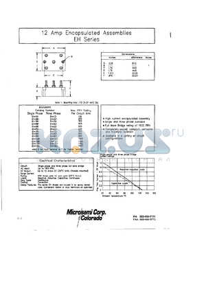 EHF12Y1 datasheet - Center Tap