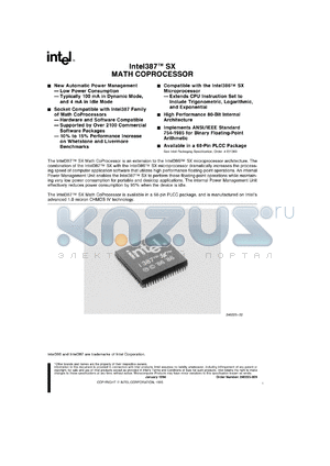 N386SX datasheet - Math coprocessor