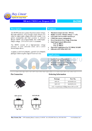 B4300CR-2.1 datasheet - 2.1V 300mA CMOS low dropout LDO