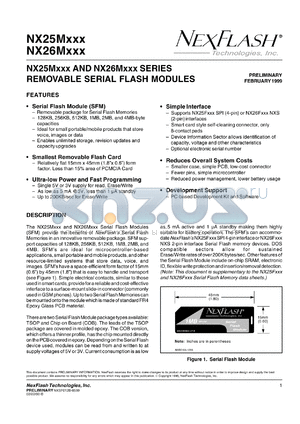 NX25M011A-5V-R datasheet - 5 V, 128 K flash module