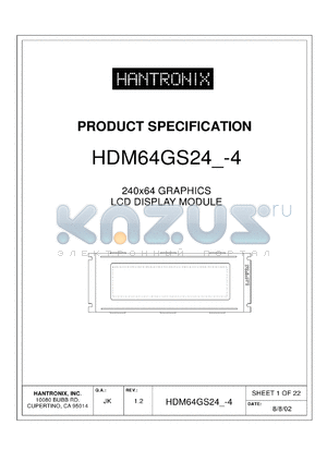 HDM64GS24-4 datasheet - 240x64 GRAPHICS LCD DISPLAY MODULE