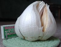     
: garlic.JPG
: 293
:	49.7 
ID:	19219