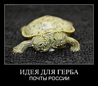     
: turt.jpg
: 92
:	38.2 
ID:	49303