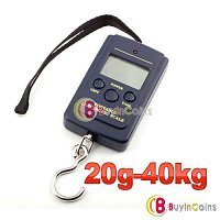     
: 20g-40kg-electronic-scale.jpg
: 109
:	28.6 
ID:	50723