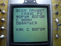     
: kazys.jpg
: 24
:	592.4 
ID:	73024