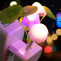     
: Hot-EU-Plug-Romantic-Colorful-Sensor-LED-Mushroom-Night-Light-Lamp-Home-Decor-HA10341.jpg
: 113
:	285.5 
ID:	88759